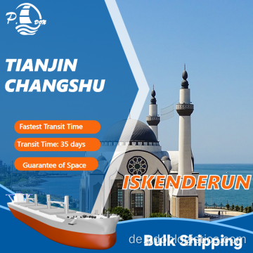 Bulk -Versand von Tianjin nach Iskenderun